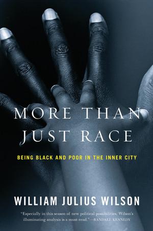 Produktbild: More Than Just Race | William Julius Wilson