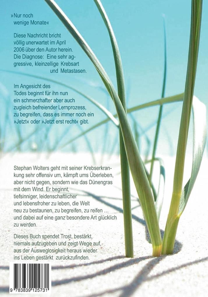 Weitere Ansicht: Gras in den Dünen - Band 1 - Tagebuch eines Überlebenden im Angesicht des Todes | Stephan Wolters
