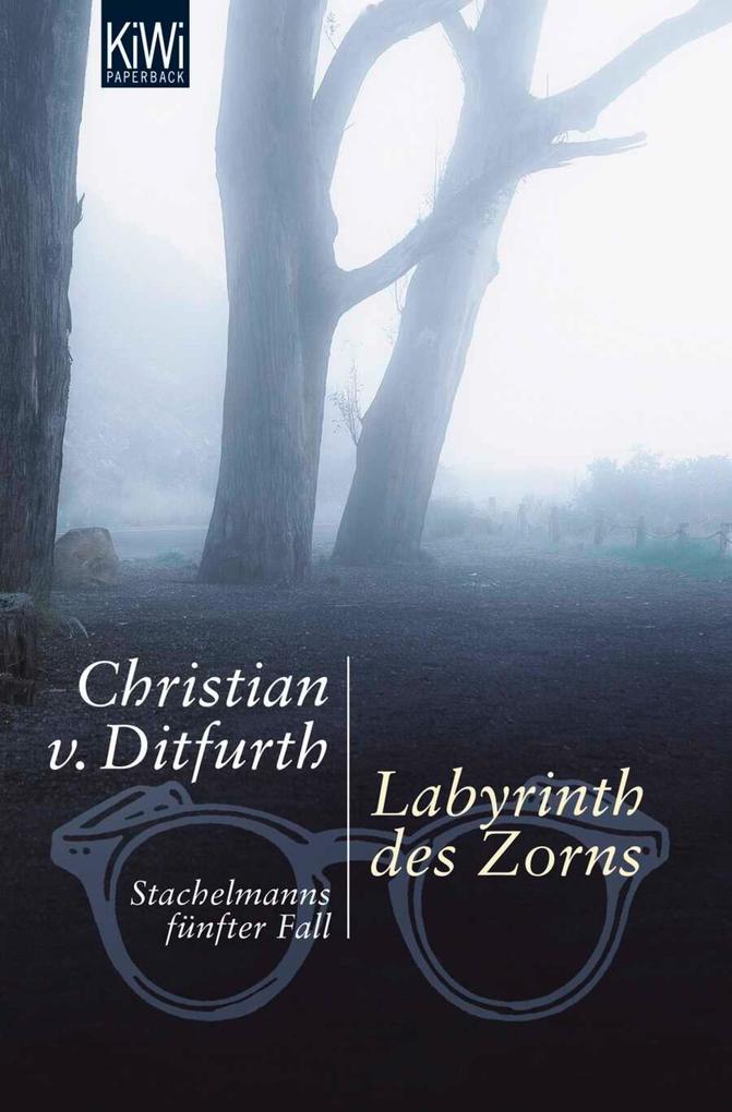 Produktbild: Labyrinth des Zorns | Christian von Ditfurth