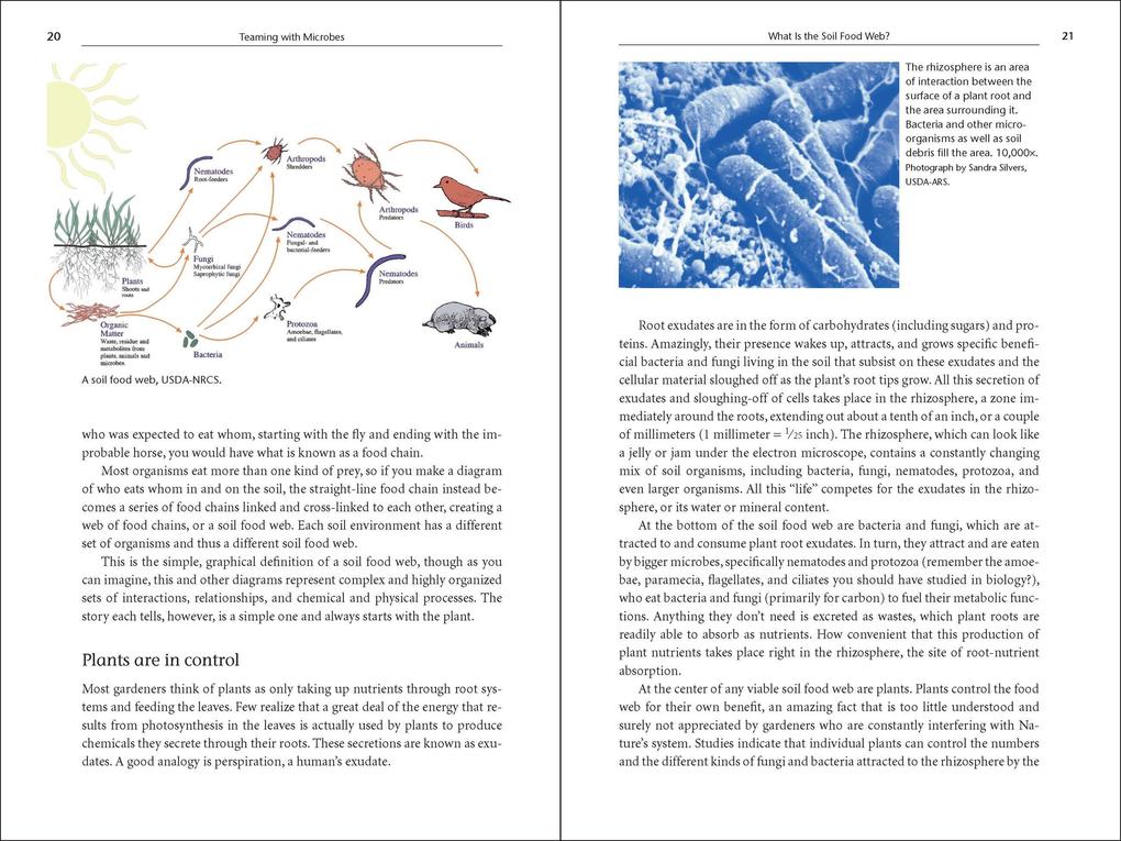 Weitere Ansicht: Teaming with Microbes | Jeff Lowenfels, Wayne Lewis