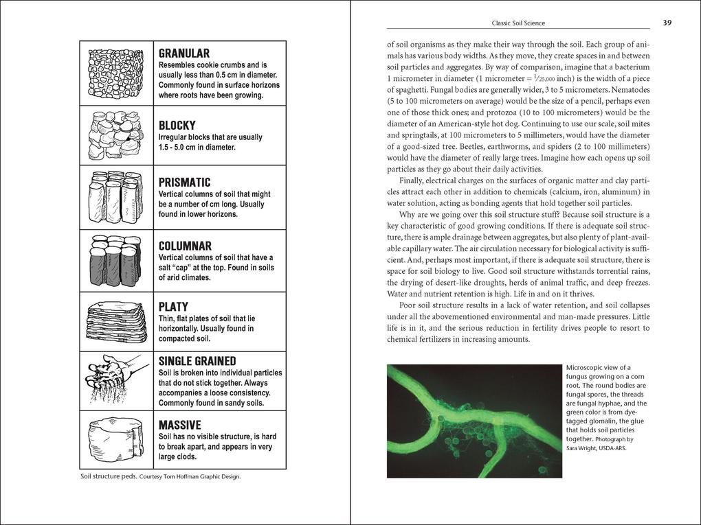 Weitere Ansicht: Teaming with Microbes | Jeff Lowenfels, Wayne Lewis
