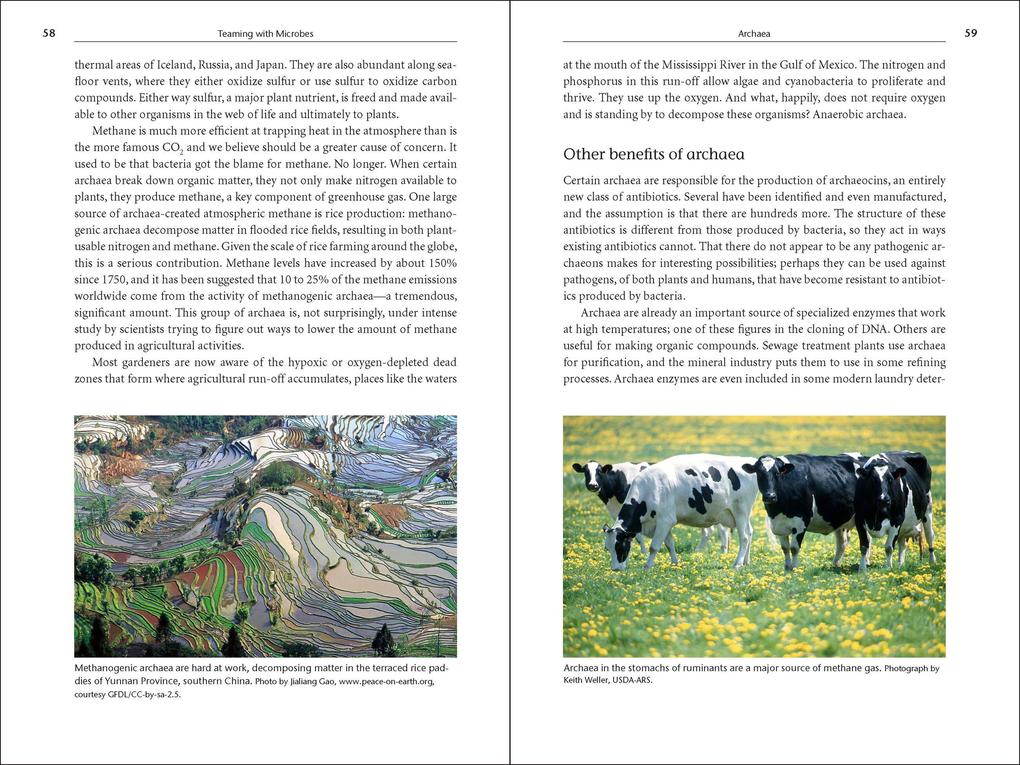 Weitere Ansicht: Teaming with Microbes | Jeff Lowenfels, Wayne Lewis