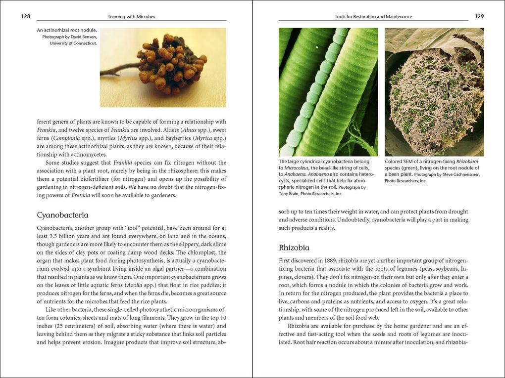 Weitere Ansicht: Teaming with Microbes | Jeff Lowenfels, Wayne Lewis