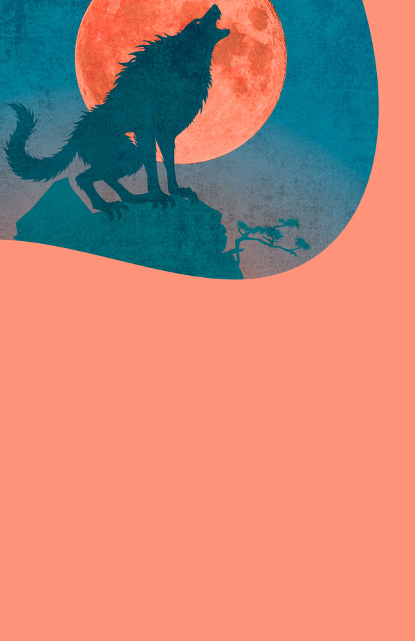 Magische Wesen - Werwölfe bei eBook.de