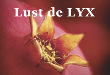 Lust de Lyx - die digitale Erotik Serie von Egmont Lyx
